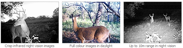 Swan Outback Cam cu IR